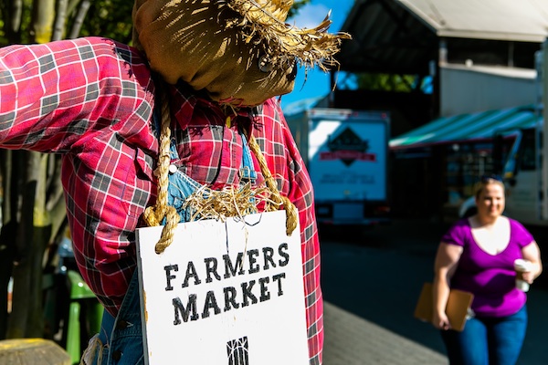Eat Local: Support BC Farms at the Vancouver Markets