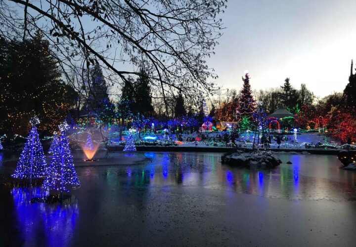 Top 5 things to do during the holidays living in Oakridge