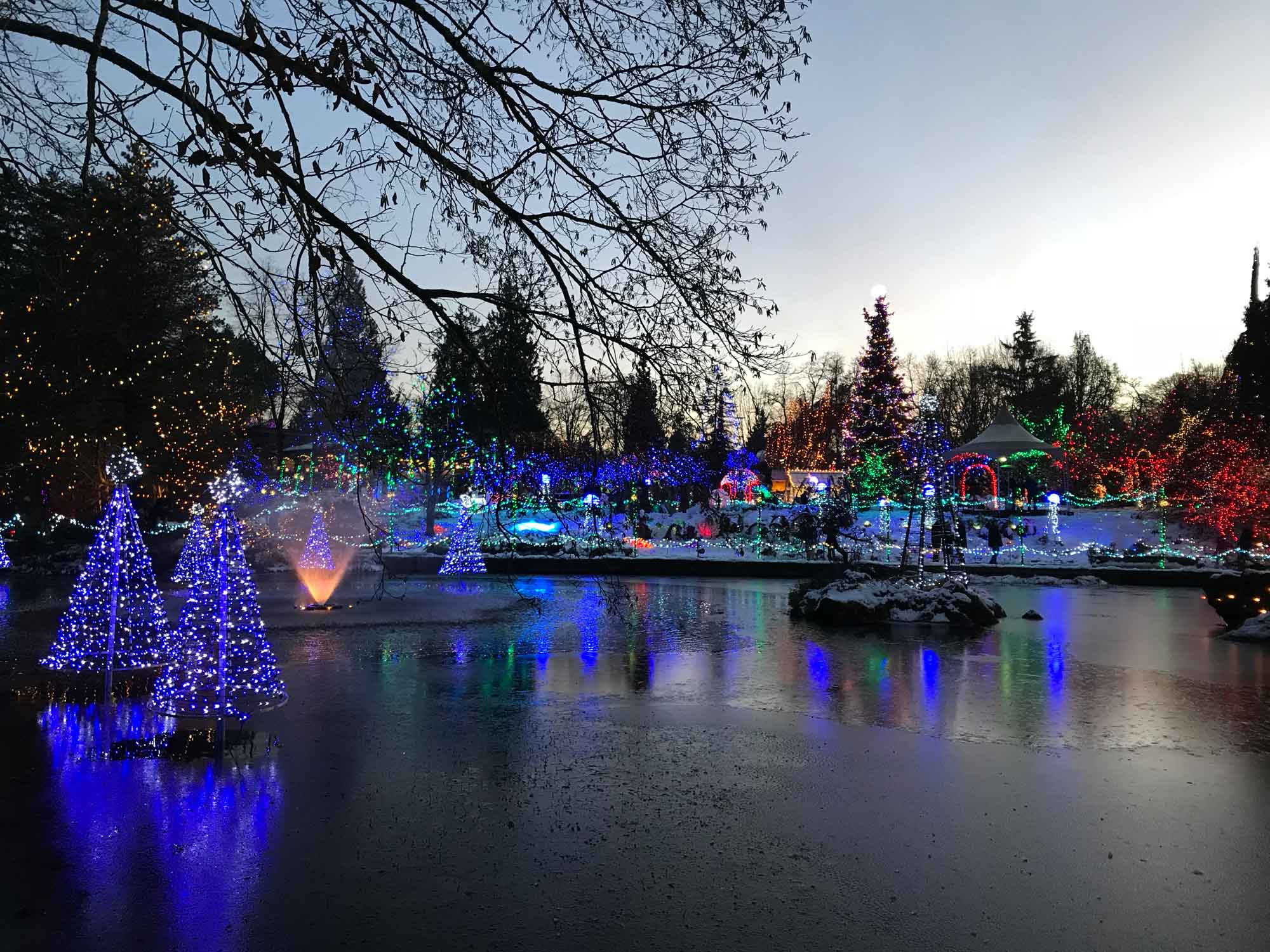 VanDusen Festival of Lights